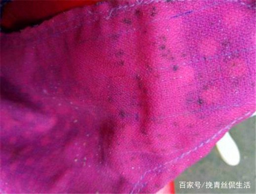 衣服上長(zhǎng)斑了怎么辦？不要慌張，小妙招教你輕松除干凈