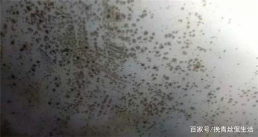 衣服上長(zhǎng)斑了怎么辦？不要慌張，小妙招教你輕松除干凈